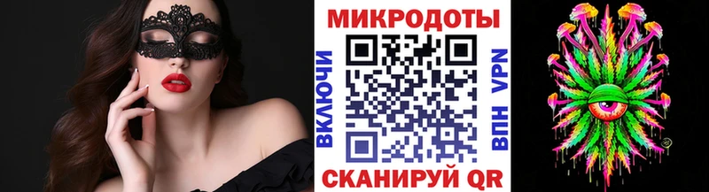 Купить Городец Галлюциногенные грибы мицелий